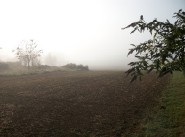 Immobilie Poids De Fiole