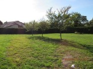 Kauf verkauf Dambenois