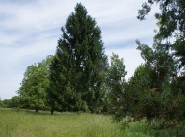 Kauf verkauf Montmirey Le Chateau